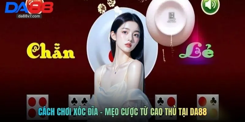 Cách chơi xóc đĩa - Mẹo cược từ cao thủ tại DA88