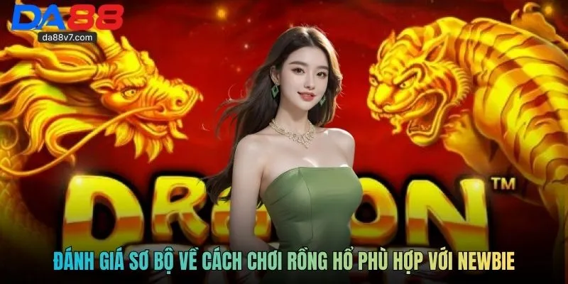 Đánh giá sơ bộ về cách chơi rồng hổ phù hợp với newbie