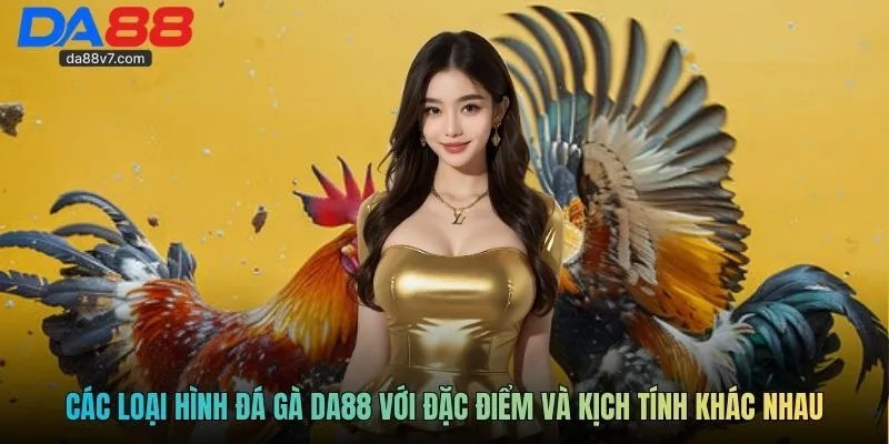 Các loại hình đá gà Da88 với đặc điểm và kịch tính khác nhau