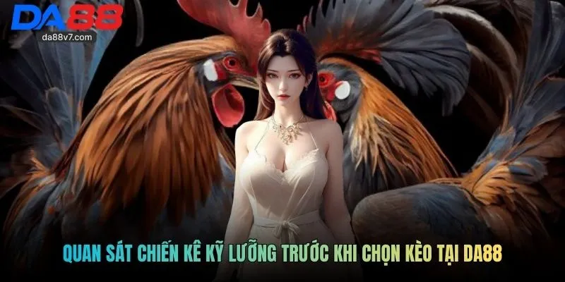 Quan sát chiến kê kỹ lưỡng trước khi chọn kèo tại Da88